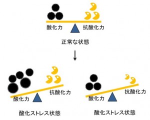 oxidativestress